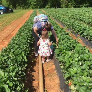 Meet your Posher, Regan